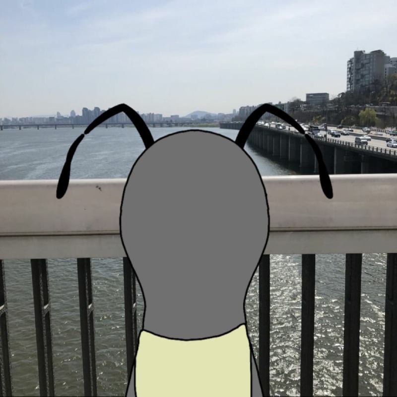 한강물 (1).jpg