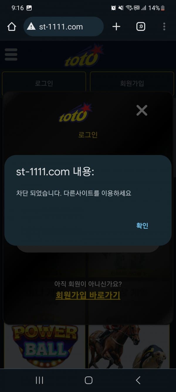 토토.jpg