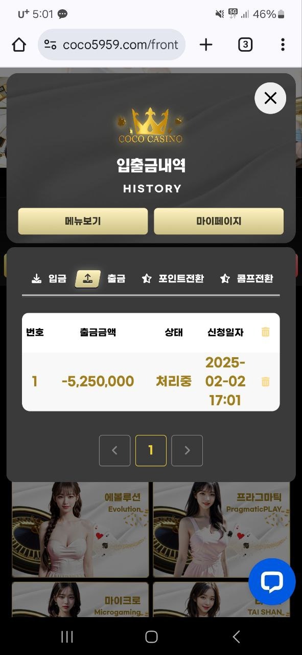 코코1.jpg