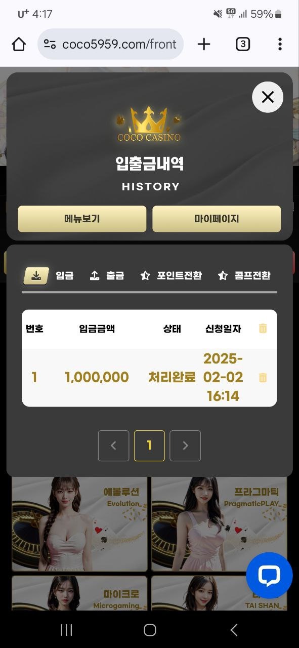 코코.jpg