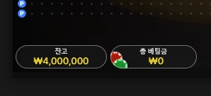 카지노.webp