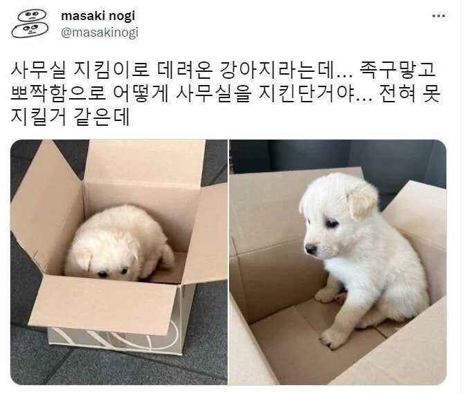 경비견.jpg