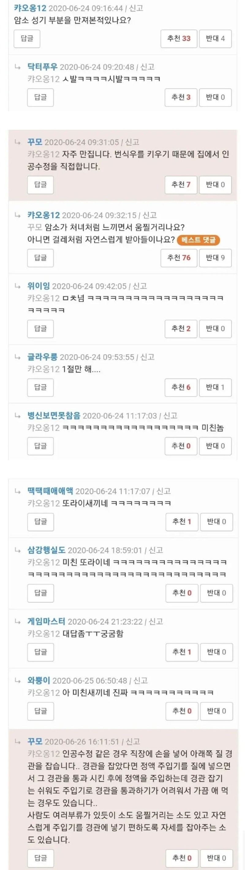 암소1.jpeg
