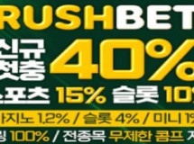 러시벳 먹튀에 대한 검증