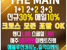 더메인먹튀에 대한 검증