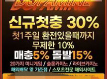 도파민먹튀에 대한 검증
