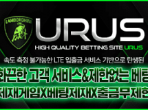 우르스먹튀에 대한 검증
